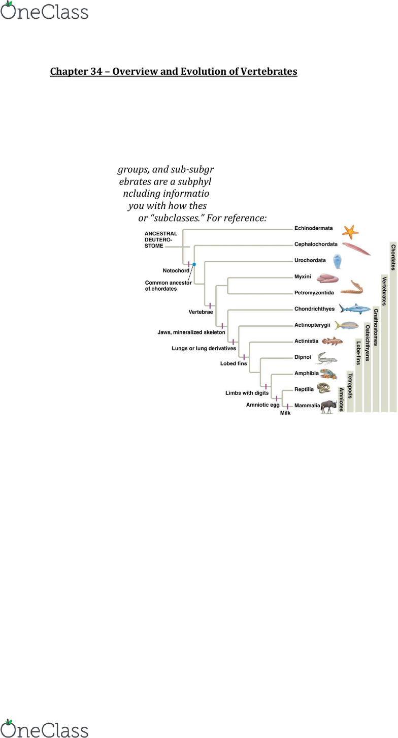 Bil 160 Textbook Notes Spring 2017 Chapter 34 - 