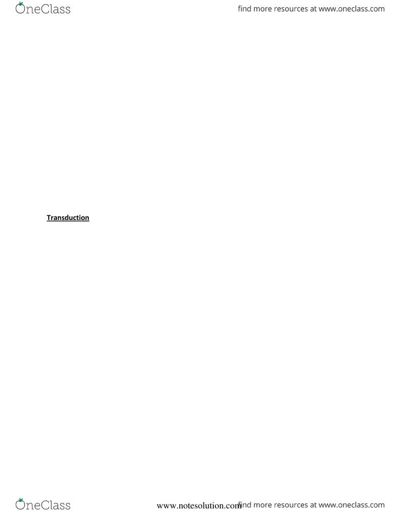 Textbook Notes Chapter 10 Sensory Physiology