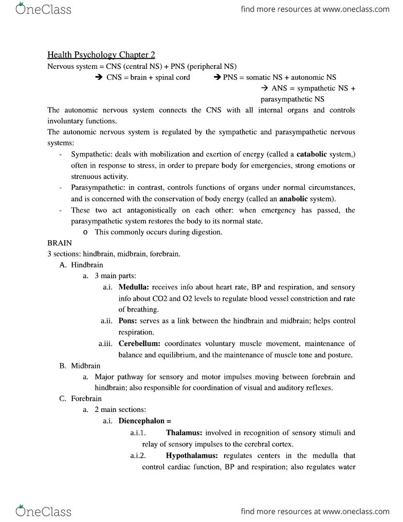 Fitness and wellness ch 1 2 outline 05 picture