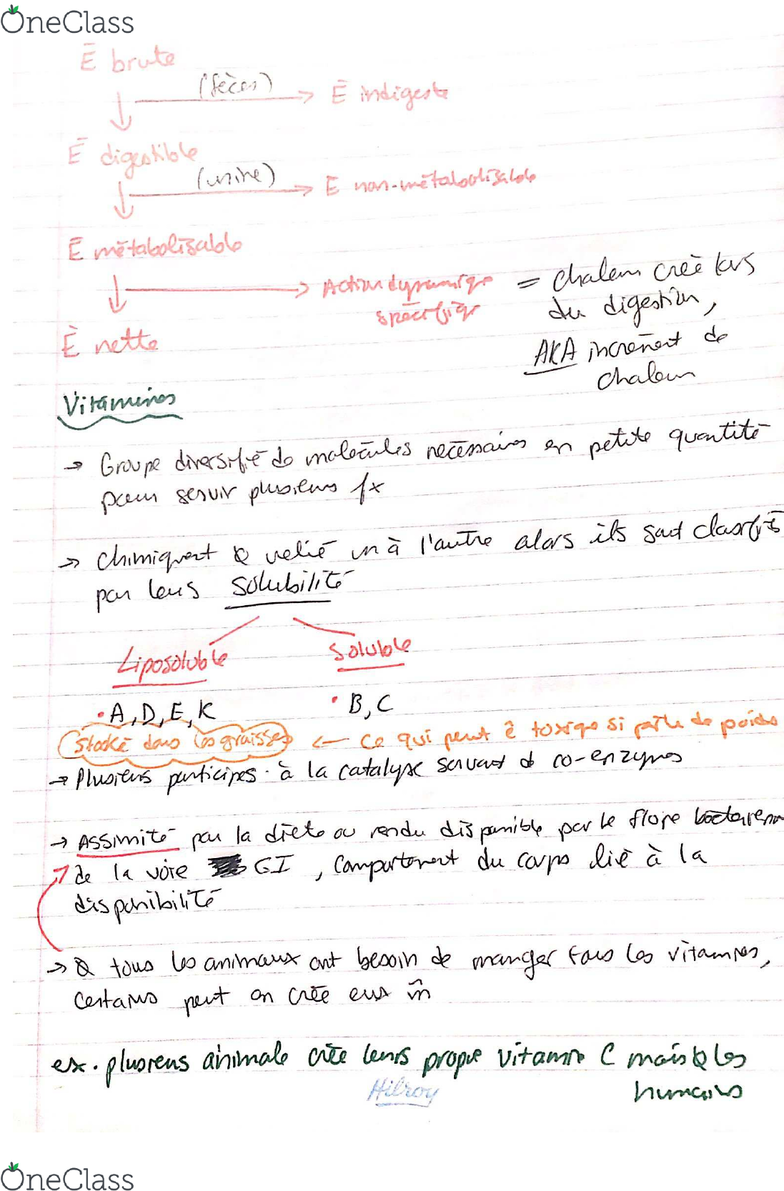 Bio3703 Lecture 10 Nutrition 1 Diapo 1 10 Oneclass
