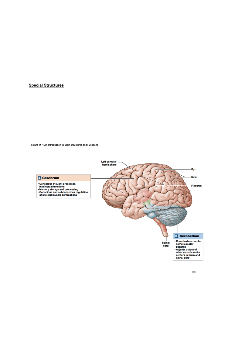 what part of the brain controls emotions