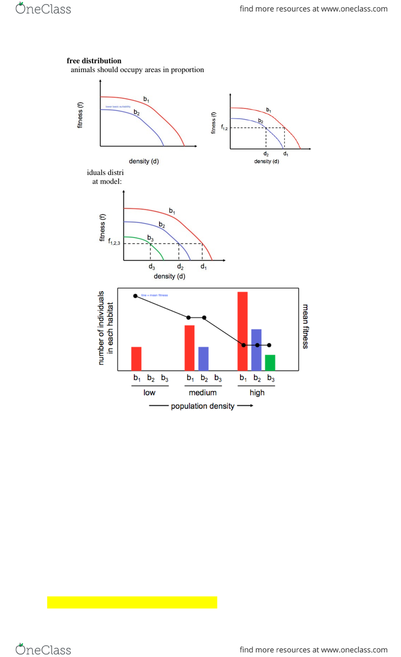 Zoo 4070 Study Guide Fall 2014 Final Anisogamy Heritability Desertion