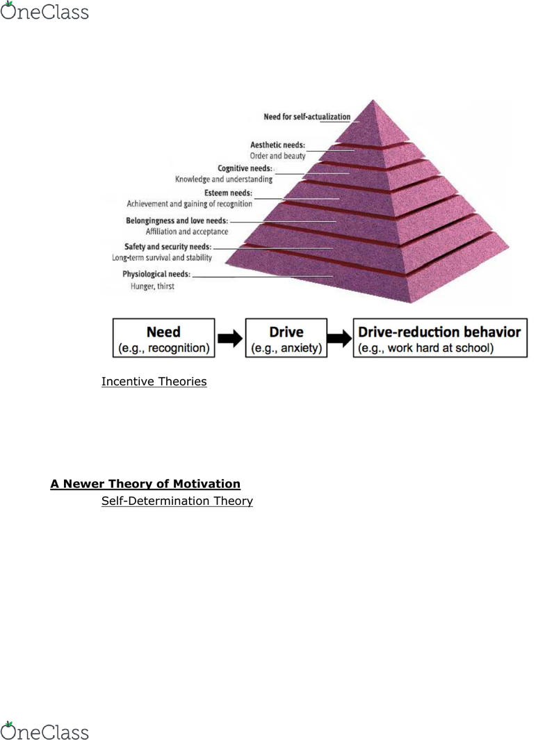 Psyc 101 Lecture Notes Fall 2017 9 Operant Conditioning O He Includes Many Diffe Types Of Needs Including