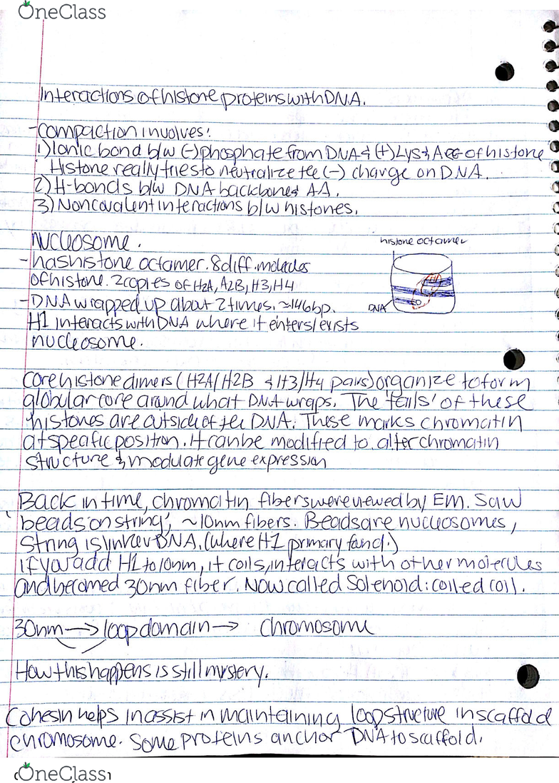 Biob11h3 Lecture 8 Biob11 Lecture 8 Part 2 Oneclass